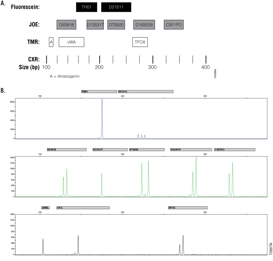 tpub_084_Figure1